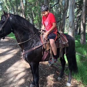 Meet your Posher, Noel